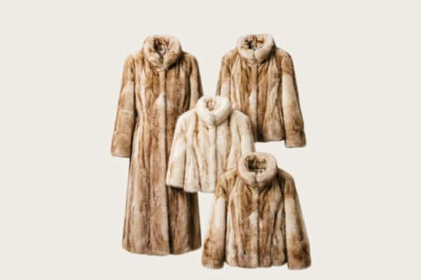 大安区回收皮草衣服